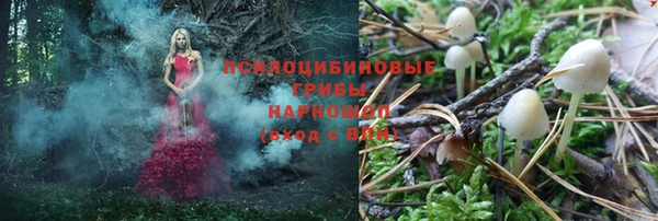 прущие крисы Лихославль